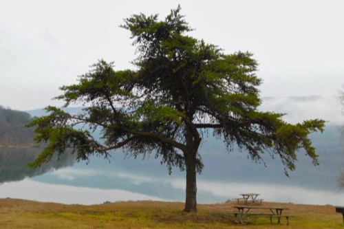About Seven Points area, Raystown Lake, Huntingdon County, Pennsylvania